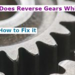 Why Does Reverse Gears Whine? (and How to Fix it)